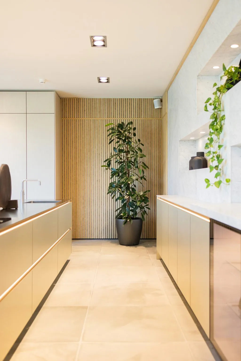 Modern kitchen with beige cabinets, light flooring, a tall potted plant by an Akupanel acoustic wood panel wall, minimalist shelves and decor on the right.
